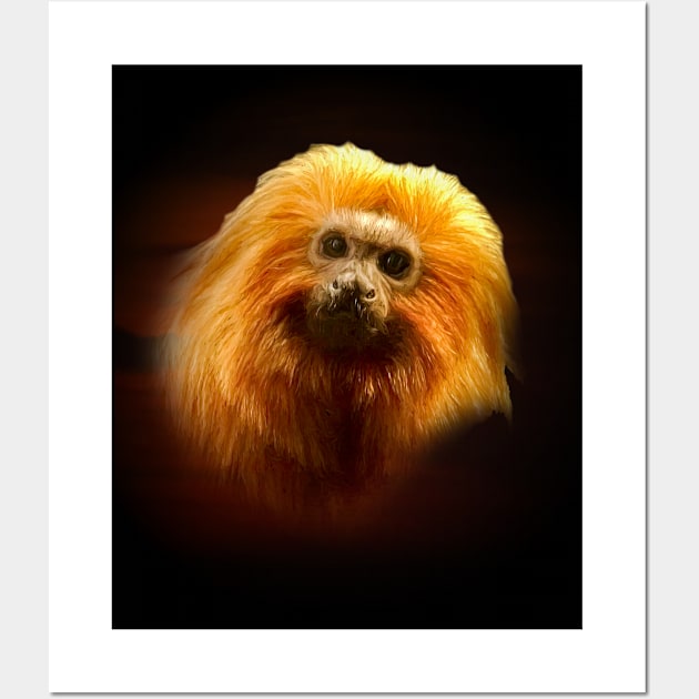 Golden lion tamarin Wall Art by Guardi